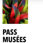 pass musee blog geneve bon plan